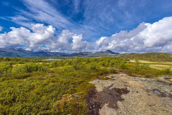Норвезька Краєвид Недалеко Від Beitostlen Норвегія — стокове фото