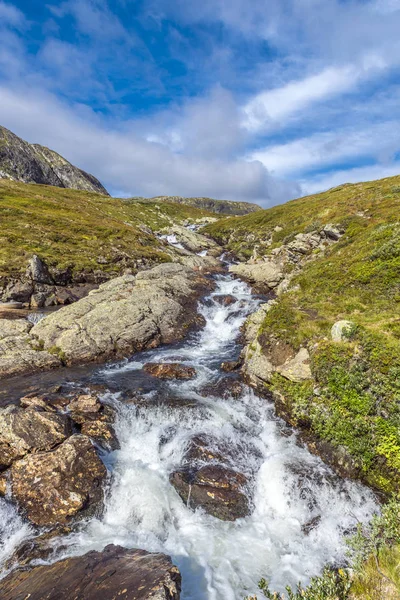 Невеликий Струмок Jotunheimen Національний Парк Норвегія — стокове фото