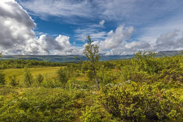 Norwegische Landschaft Nahe Beitostlen Norwegen — Stockfoto