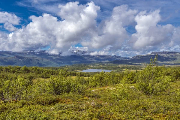 Norweski Krajobraz Blisko Beitostlen Norwegia — Zdjęcie stockowe