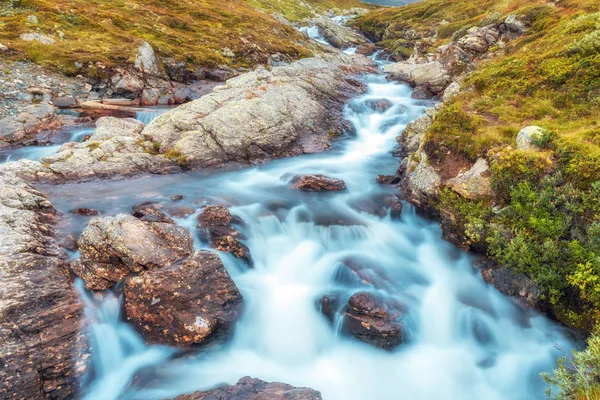 Pequeno Riacho Parque Nacional Jotunheimen Noruega Fotos De Bancos De Imagens