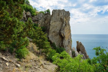Göster mavi defne Golitsyn iz Novy Svet (Yeni Dünya) yerleşim yakın kayalık sahil, gelen
