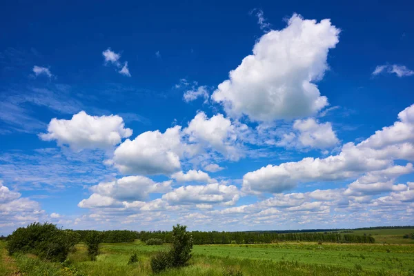 Beautiful White Clouds Blue Sky Summer Green Field — Stock Photo, Image