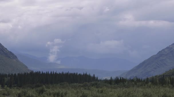 Corriente de montaña Parque Nacional Denali — Vídeo de stock