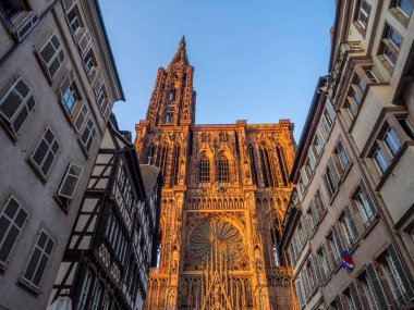 Cathedrale Notre-Dame ya da Cathedral of Our Lady Strasbourg arkasında ünlü tipik yarı ahşap evleri, Alsace, Fransa