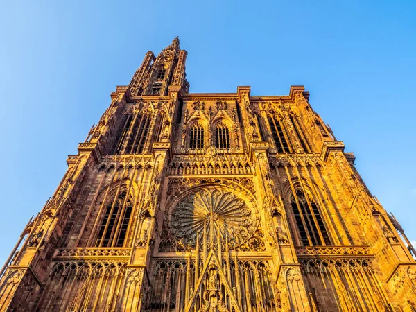 Katedra Notre Dame Lub Katedra Matki Bożej Strasburgu Alzacja Francja — Zdjęcie stockowe