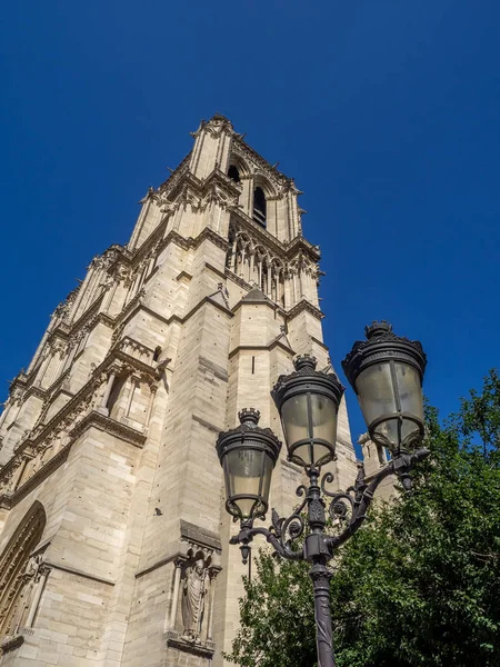Katedra Notre Dame Paryżu — Zdjęcie stockowe