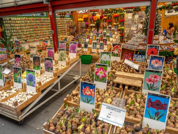 Amsterdam Hollanda Temmuz 2018 Lale Soğanı Merkezi Amsterdam Bloemenmarkt Içinde — Stok fotoğraf