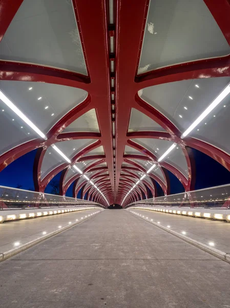Усередині Пішохідний Міст Провінції Альберта Калгарі Вночі — стокове фото