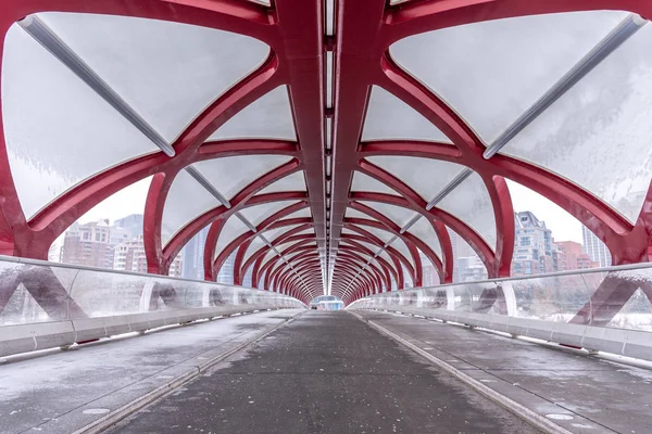 Peace Bridge Een Winterdag Calgary Alberta Canada Voetgangersbrug Overspant Rivier — Stockfoto