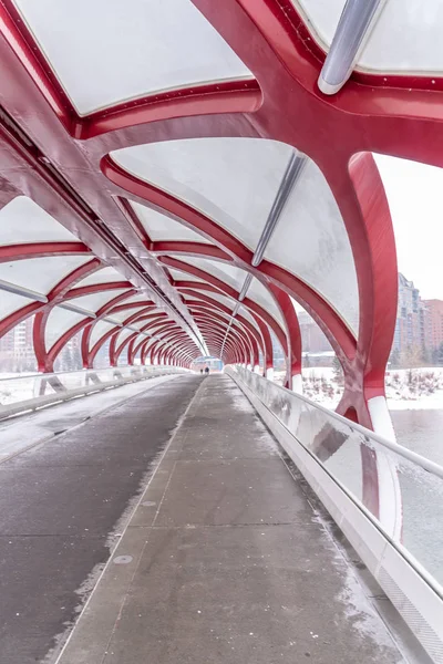 Peace Bridge Winter Day Calgary Alberta Canada Pedestrian Bridge Spans — Stock Photo, Image