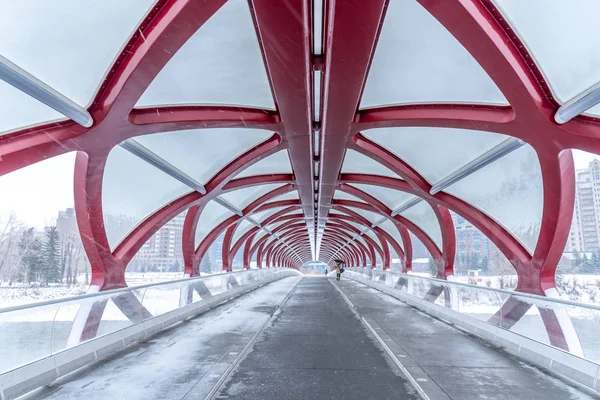 加拿大艾伯塔省卡尔加里冬日的和平桥 人行天桥横跨弓河 — 图库照片