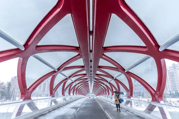 加拿大艾伯塔省卡尔加里冬日的和平桥 人行天桥横跨弓河 — 图库照片
