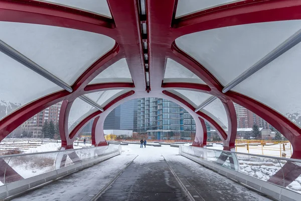 Most Pokoju Zimowe Wieczory Calgary Alberta Kanada Most Dla Pieszych — Zdjęcie stockowe