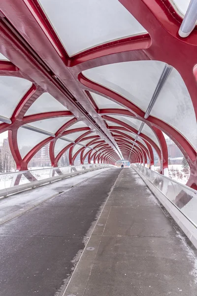 Миру Мосту Зимовий День Калгарі Альберта Канада Пішохідний Міст Охоплює — стокове фото