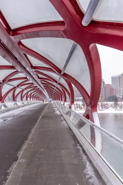 Peace Bridge Een Winterdag Calgary Alberta Canada Voetgangersbrug Overspant Rivier — Stockfoto