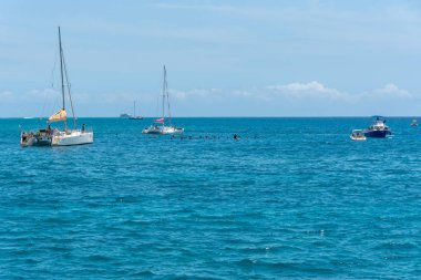 Honolulu, Hawaii - 30 Mart 2019: Honolulu sahili açıklarından Waikiki plajına turist şnorkel tekneleri. Hawaii Hilton yakın bu ünlü nokta şnorkel sırasında kaplumbağaları tespit için popüler