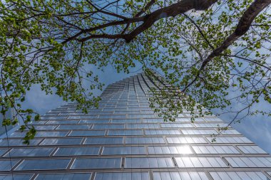 Yeni Telus Sky ofisi ve Calgary Alberta daire kule bakıyor. Bina yapı altında eşik.
