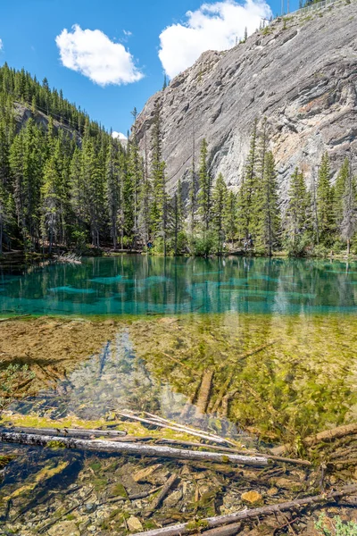 Türkiz Grassi Tavak Közelében Canmore Kanadai Sziklás Hegység Déli Alberta — Stock Fotó