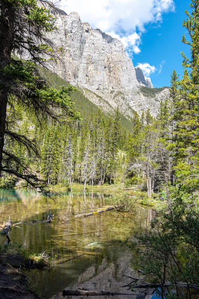 Türkiz Grassi Tavak Közelében Canmore Kanadai Sziklás Hegység Déli Alberta — Stock Fotó