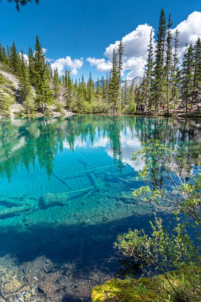 Türkiz Grassi Tavak Közelében Canmore Kanadai Sziklás Hegység Déli Alberta — Stock Fotó