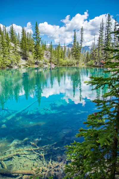 Turquoise Grassi Meren Het Land Kananaskis Park Systeem Van Alberta — Stockfoto