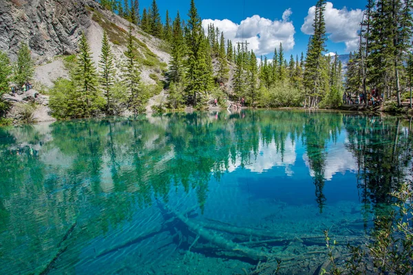 Türkiz Grassi Tavak Közelében Canmore Kanadai Sziklás Hegység Déli Alberta — Stock Fotó