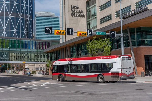 Calgary Canada May 2019 Calgary Transit Bus Downtown Calgary Alberta — Stock Photo, Image