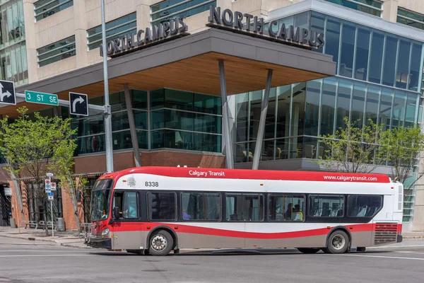 Calgary Canada Mei 2019 Calgary Transit Bus Het Centrum Van — Stockfoto