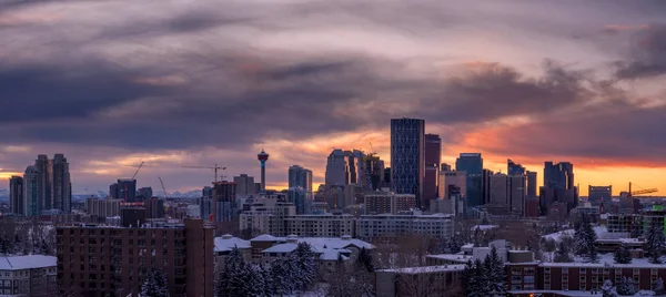 Panoramę Calgary Zimny Zimowy Dzień — Zdjęcie stockowe