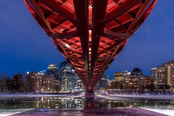 Una Hermosa Vista Del Horizonte Calgary Durante Invierno —  Fotos de Stock