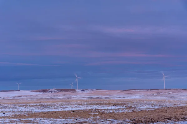 Windfarm Prairies Alberta Canada Winter — Stock Photo, Image
