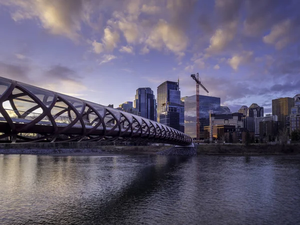 Vista Del Hermoso Horizonte Calgary Alberta —  Fotos de Stock