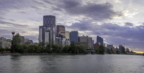 Widok Piękną Panoramę Calgary Alberta — Zdjęcie stockowe