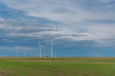 Rüzgar türbinleri Güney Doğu Alberta 'da, Carmangay yakınlarında. Projenin adı Blackspring Sırtı Rüzgar Çiftliği..