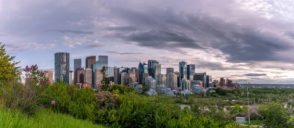 View Calgary Skyline Beautiful Spring Evening — Stock Photo, Image