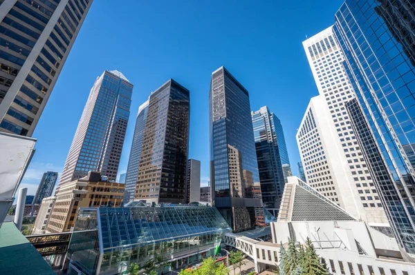 Skyskrapor Staden Calgary Alberta Kanada — Stockfoto