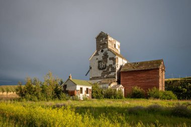 Çorak Topraklar 'da terk edilmiş eski tahıl asansörü Sharples, Alberta hayalet kasabasında..