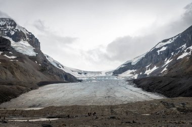 Jasper Ulusal Parkı, Alberta Kanada 'daki Columbia buz sahalarının manzarası.