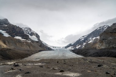 Jasper Ulusal Parkı, Alberta Kanada 'daki Columbia buz sahalarının manzarası.
