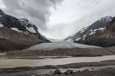 Jasper Ulusal Parkı, Alberta Kanada 'daki Columbia buz sahalarının manzarası.