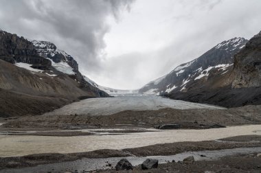 Jasper Ulusal Parkı, Alberta Kanada 'daki Columbia buz sahalarının manzarası.