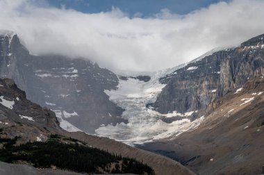 Jasper Ulusal Parkı, Alberta Kanada 'daki Columbia buz sahalarının manzarası.