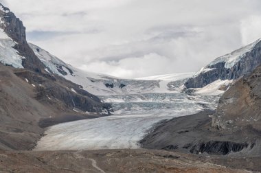 Jasper Ulusal Parkı, Alberta Kanada 'daki Columbia buz sahalarının manzarası.