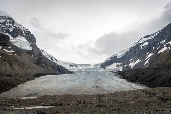 Vista Los Campos Hielo Columbia Parque Nacional Jasper Alberta Canadá —  Fotos de Stock