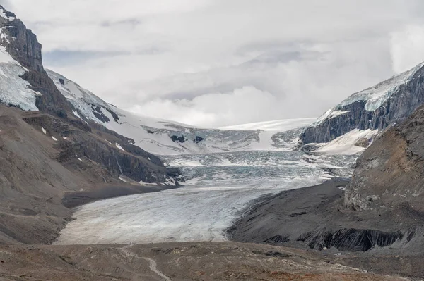 Widok Lodowce Columbia Parku Narodowym Jasper Alberta Kanada — Zdjęcie stockowe