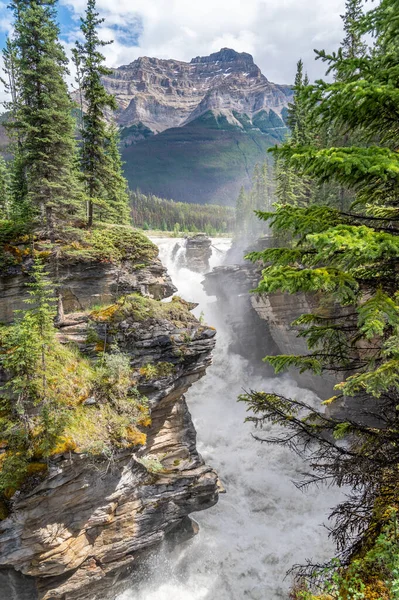 Jasper Ulusal Parkı Nda Athabasca Şelalesi — Stok fotoğraf