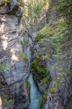 Jasper Ulusal Parkı 'ndaki Maligne Kanyonu manzarası