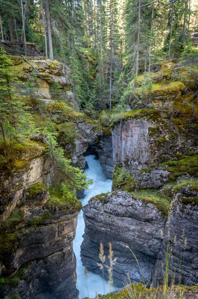 Kilátás Maligne Kanyonra Jasper Nemzeti Parkban — Stock Fotó