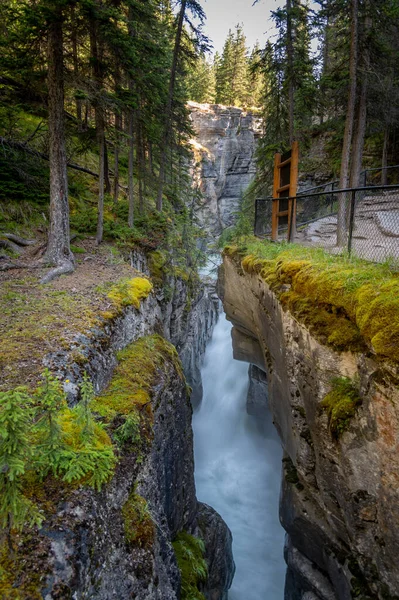 Veduta Del Canyon Maligne Nel Parco Nazionale Jasper — Foto Stock
